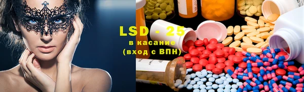 прущие грибы Абинск