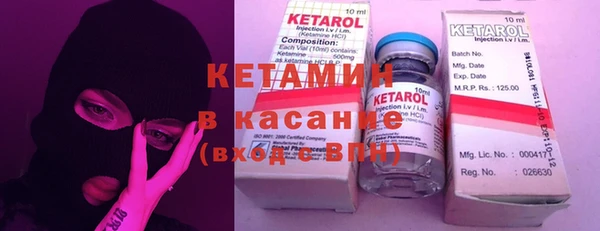 прущие грибы Абинск