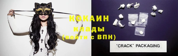 прущие грибы Абинск