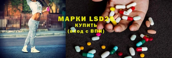 хмурый Алзамай
