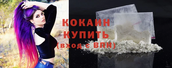прущие грибы Абинск
